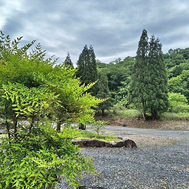 Rubiconさんの部屋