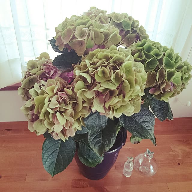 aeamp4cさんの実例写真