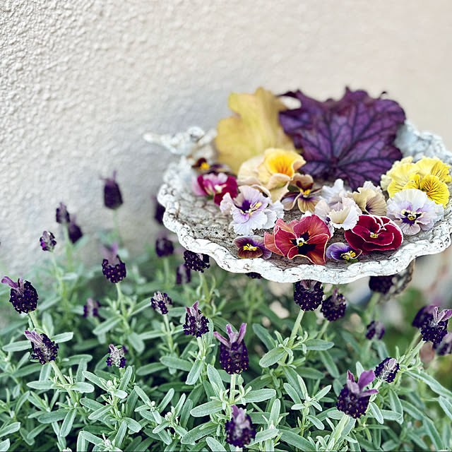 AINIさんの実例写真