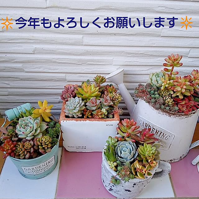 aikkoさんの実例写真