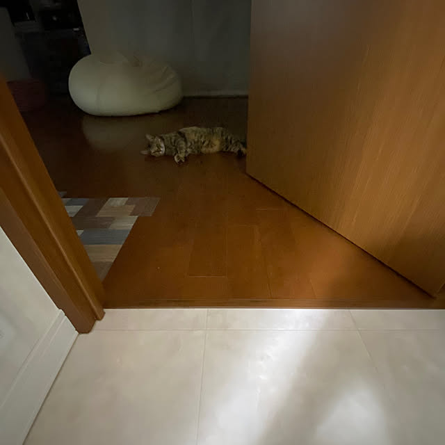 hansho.sさんの実例写真
