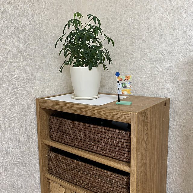 ka-tenさんの実例写真