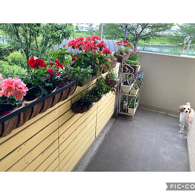 marukoさんの部屋
