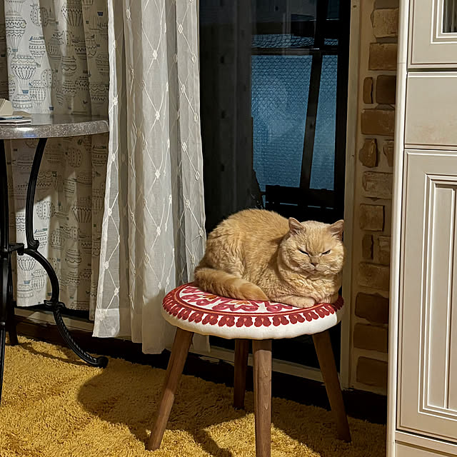 naokoさんの部屋