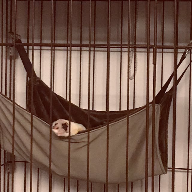 yokkochanさんの実例写真