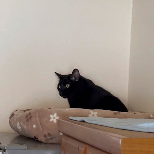 nyaさんの実例写真