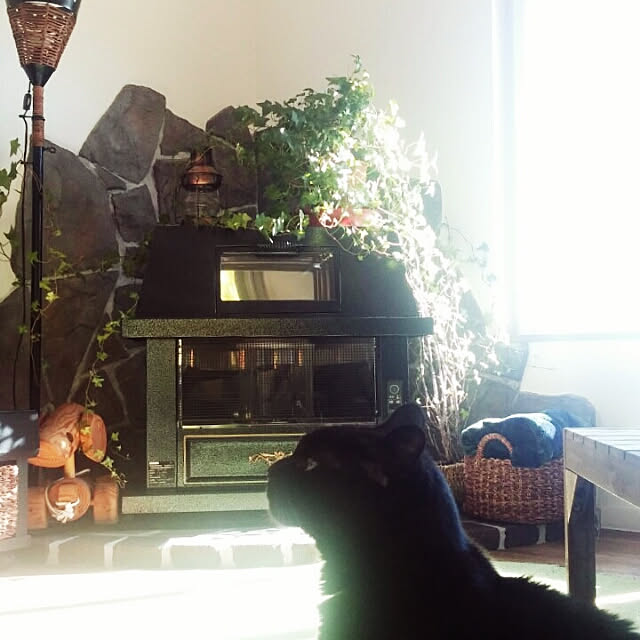 mapiさんの実例写真