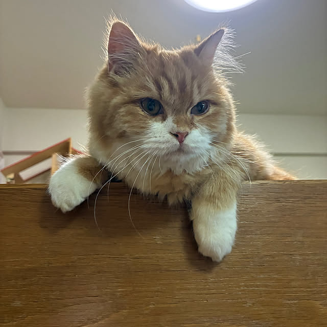 uchidaizuさんの部屋