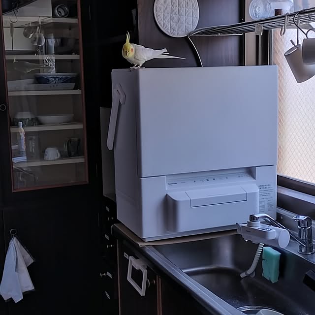 toratanさんの実例写真