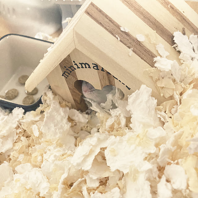 ha_koさんの部屋