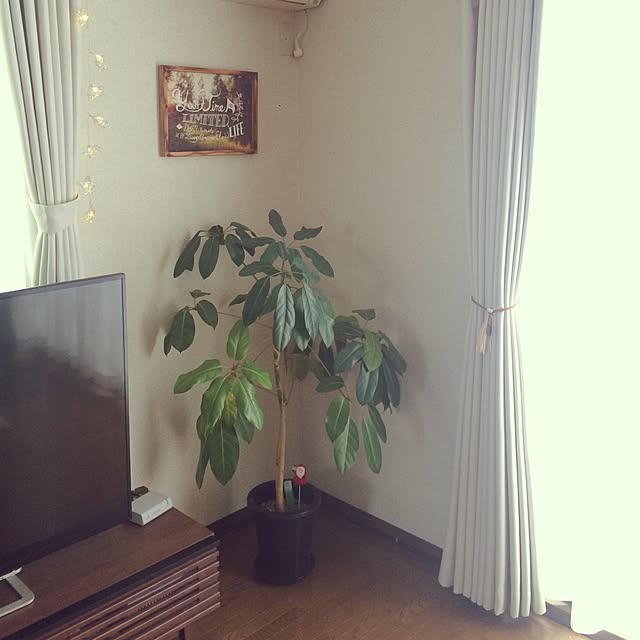 2boyMAMAさんの実例写真