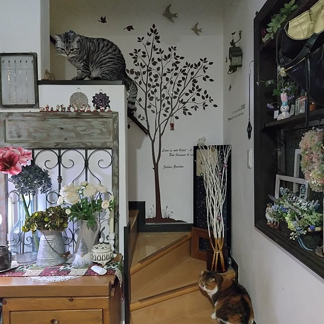 hiro3さんの部屋