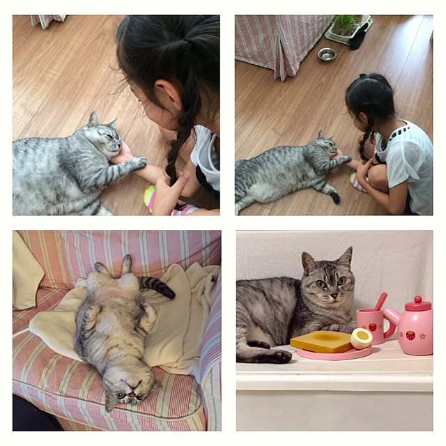 CHIEさんの実例写真