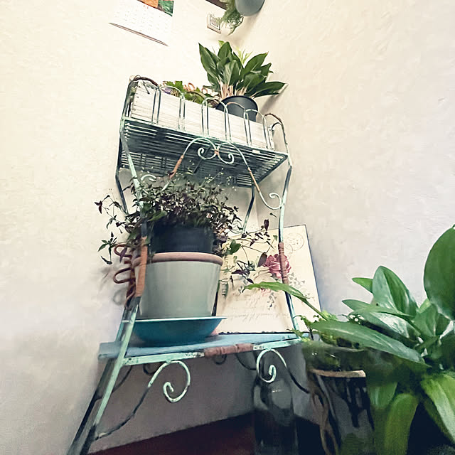 cota2さんの部屋