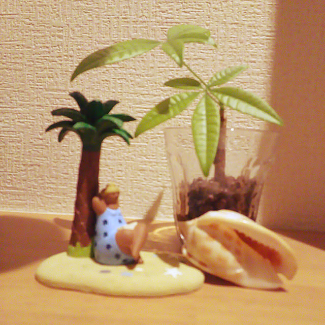 kotoroさんの実例写真