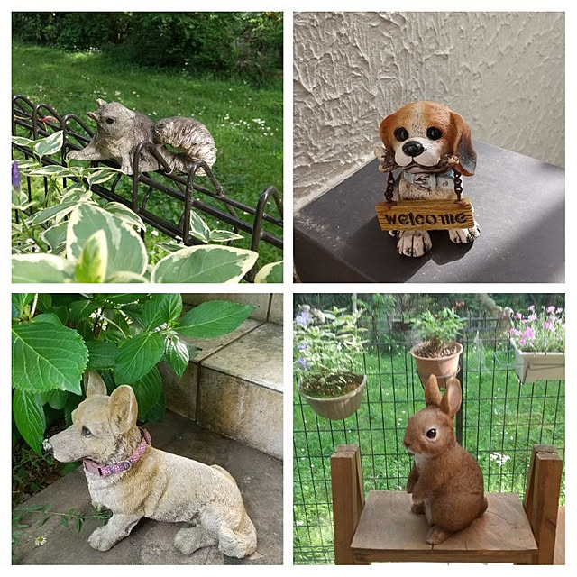 wasabiさんの実例写真