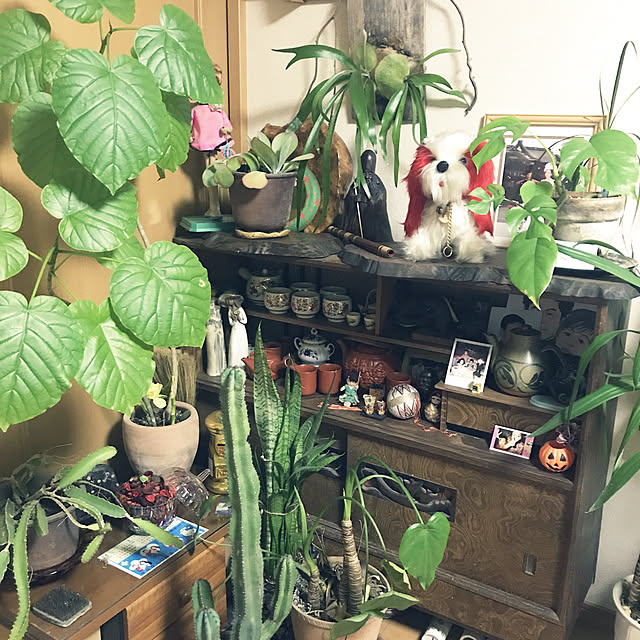 y.kurochanさんの実例写真