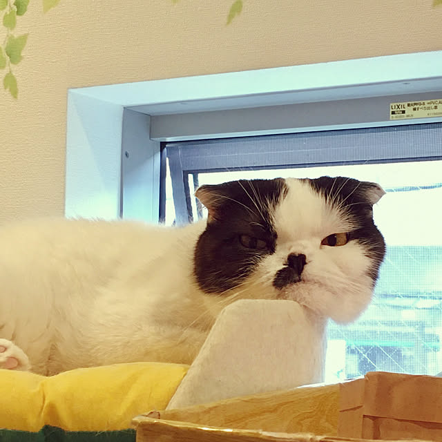 pinaminさんの実例写真