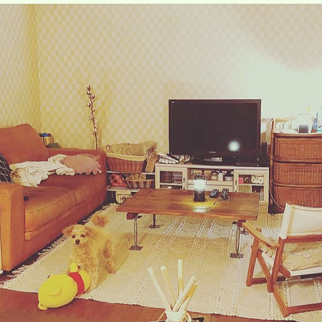 実例写真