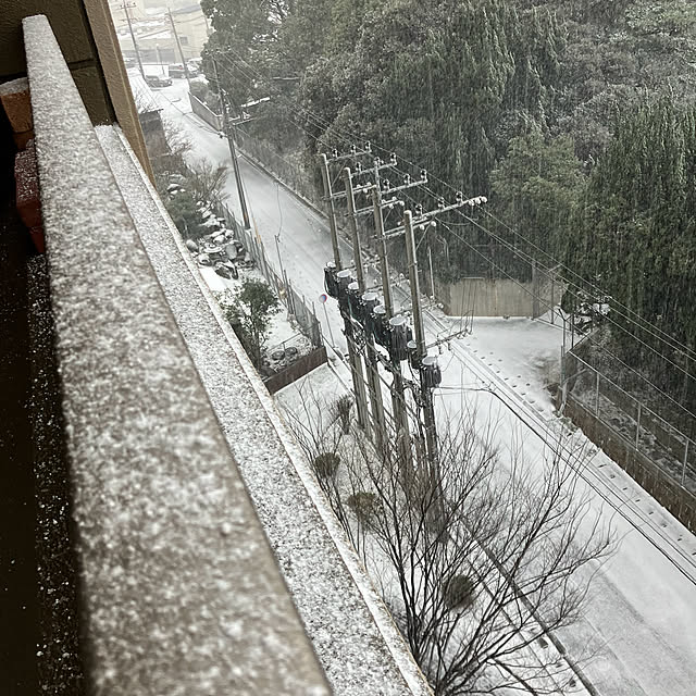 koshiregutyoさんの部屋