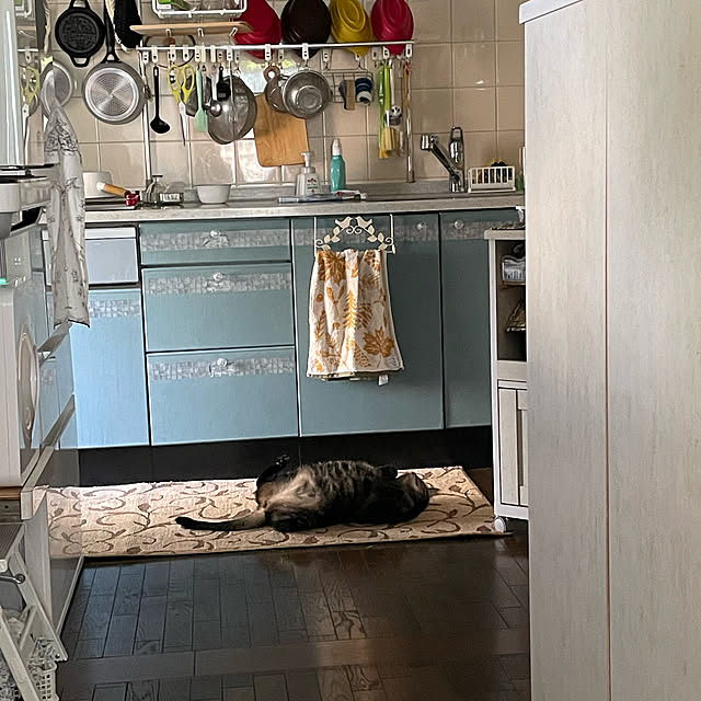 momocchiさんの部屋
