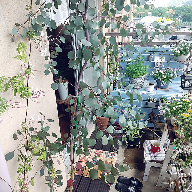 sanaさんの実例写真