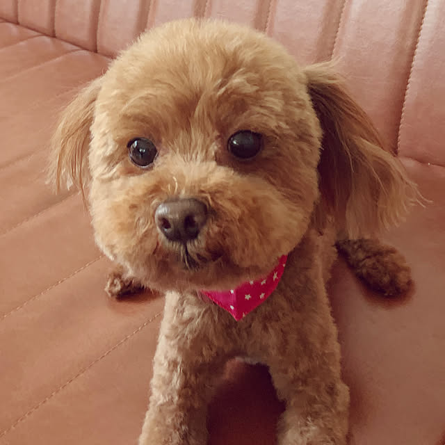 tomoさんの実例写真
