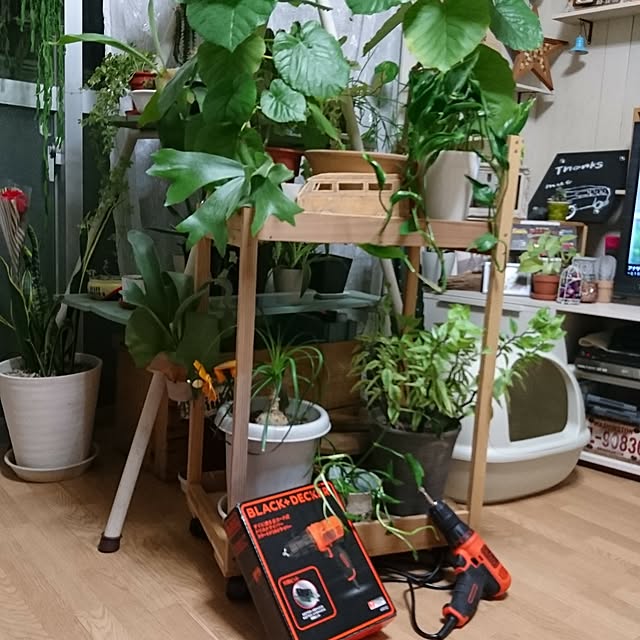 Reiさんの実例写真