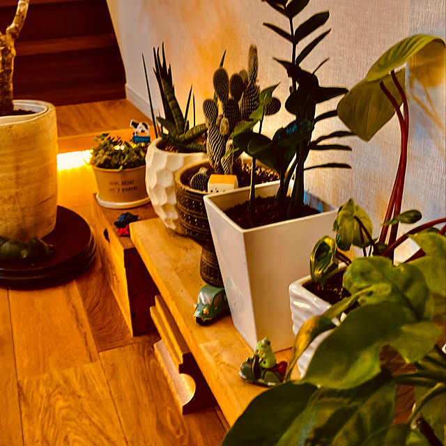 kitakitawanさんの部屋