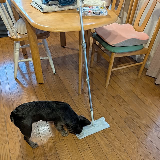 chi_gogaさんの部屋