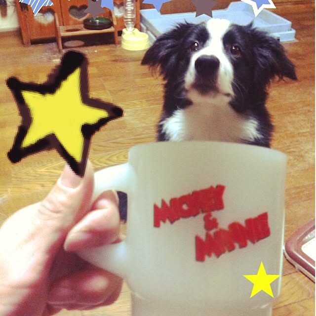 mintさんの実例写真