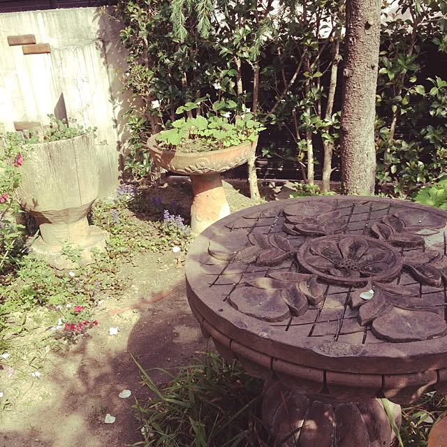 biberuさんの実例写真