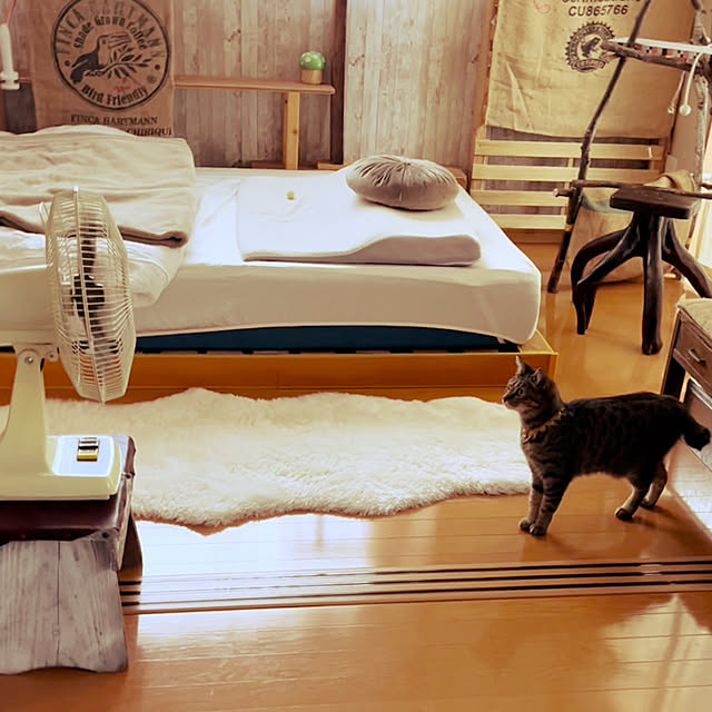 Mさんの実例写真