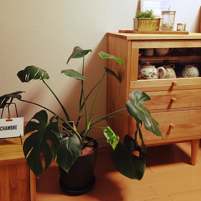 kinakoさんの実例写真