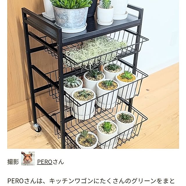 PEROさんの実例写真