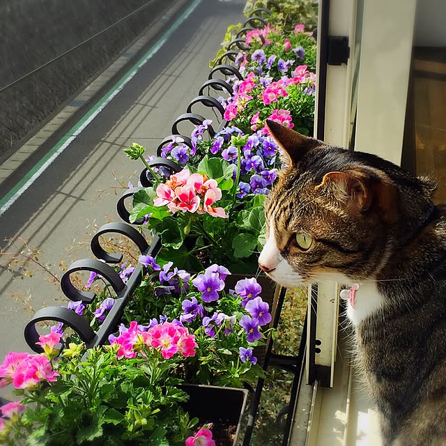 shio2772さんの実例写真