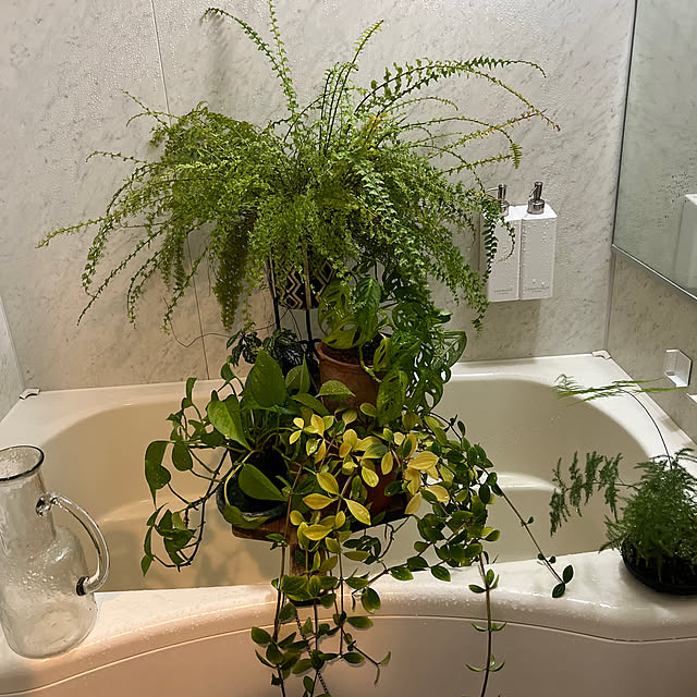 バス/トイレ/観葉植物/グリーン/狭い部屋/ZARA HOME...などのインテリア実例 - 2024-07-26 18:26:21
