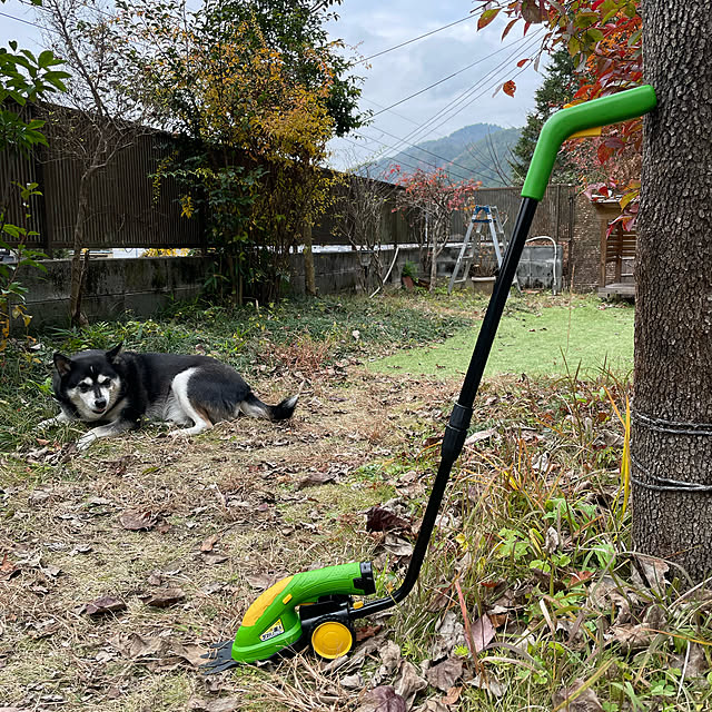 Nezuさんの実例写真