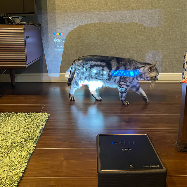 garikoさんの実例写真