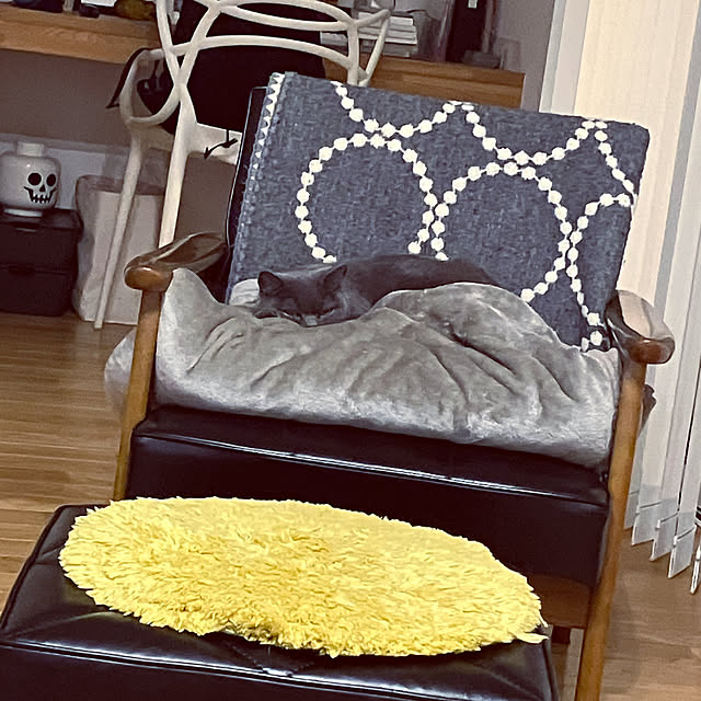 KOHAREさんの部屋