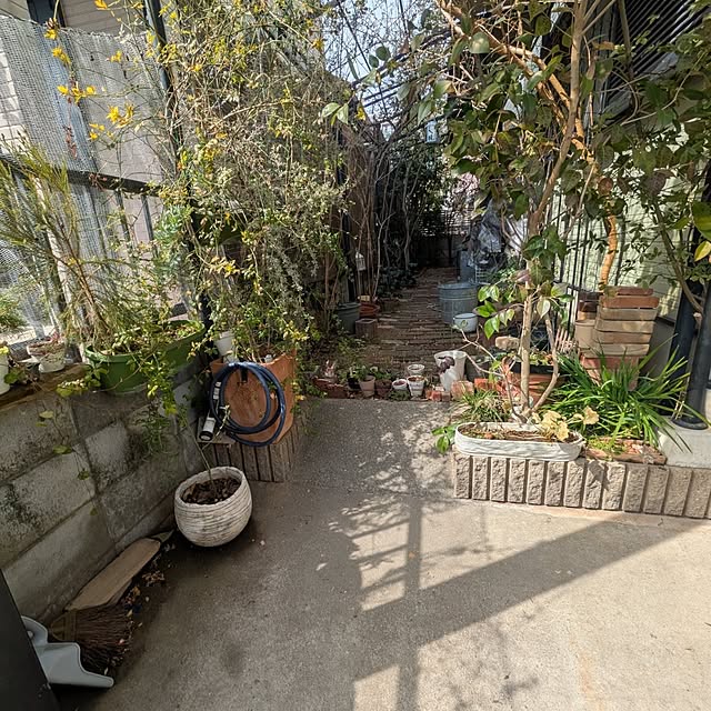 mori_6_12さんの部屋