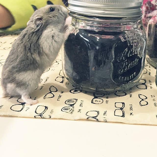 hamtaさんの実例写真