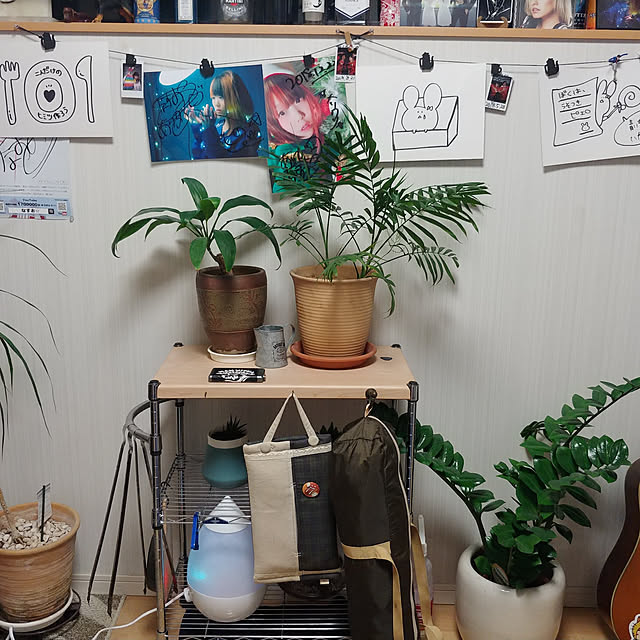 部屋全体のインテリア実例 - 2019-05-27 23:31:27
