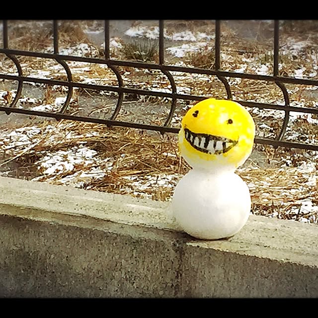 emiさんの実例写真