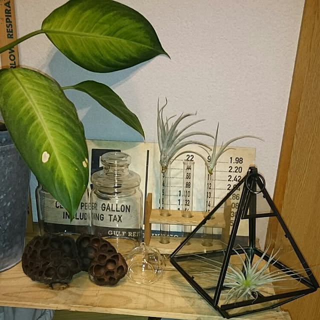 mizuさんの実例写真