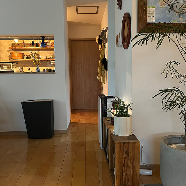 hatsugaさんの部屋