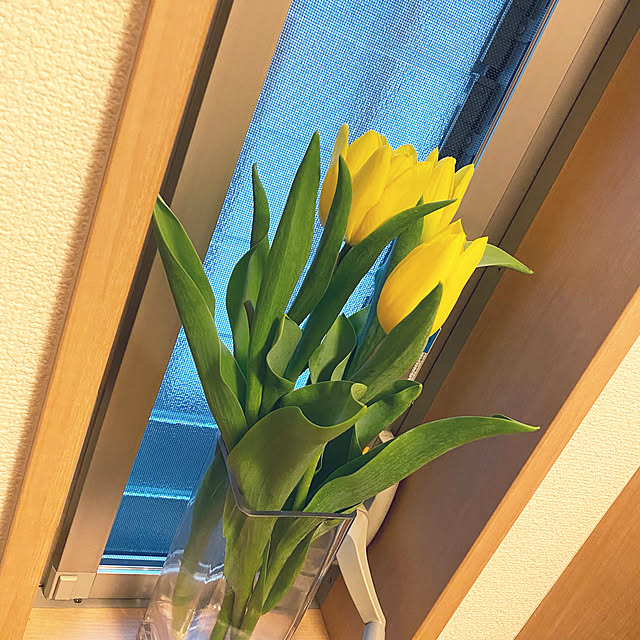 cloverさんの実例写真