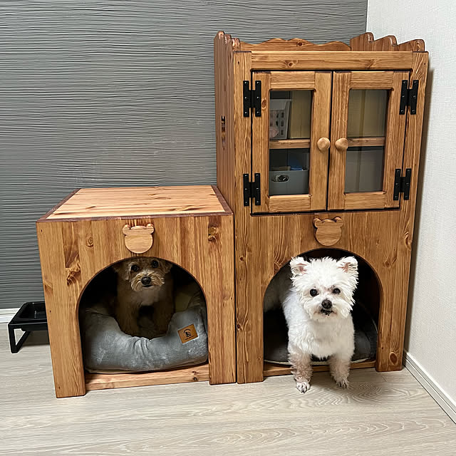 minonaruki21さんの実例写真