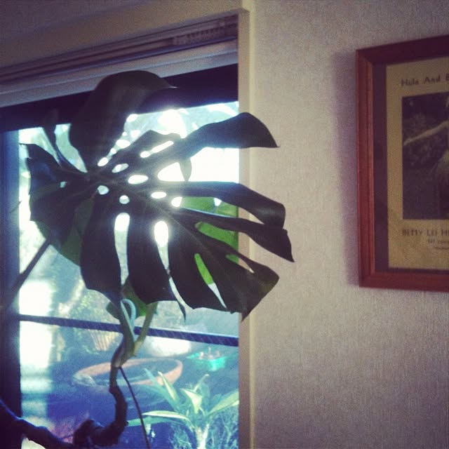 Bobさんの実例写真