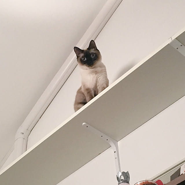 piommさんの実例写真